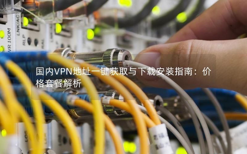 国内VPN地址一键获取与下载安装指南：价格套餐解析