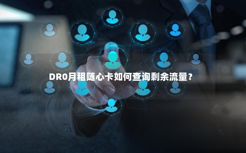 DR0月租随心卡如何查询剩余流量？