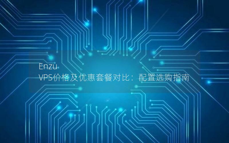 Enzu VPS价格及优惠套餐对比：配置选购指南