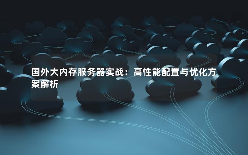 国外大内存服务器实战：高性能配置与优化方案解析