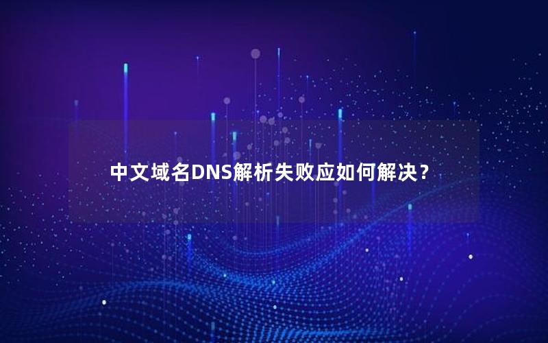 中文域名DNS解析失败应如何解决？