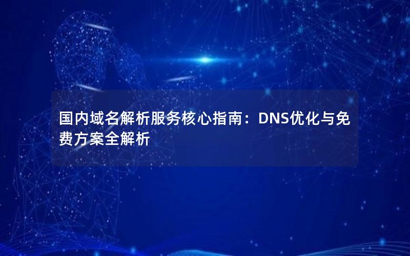 国内域名解析服务核心指南：DNS优化与免费方案全解析