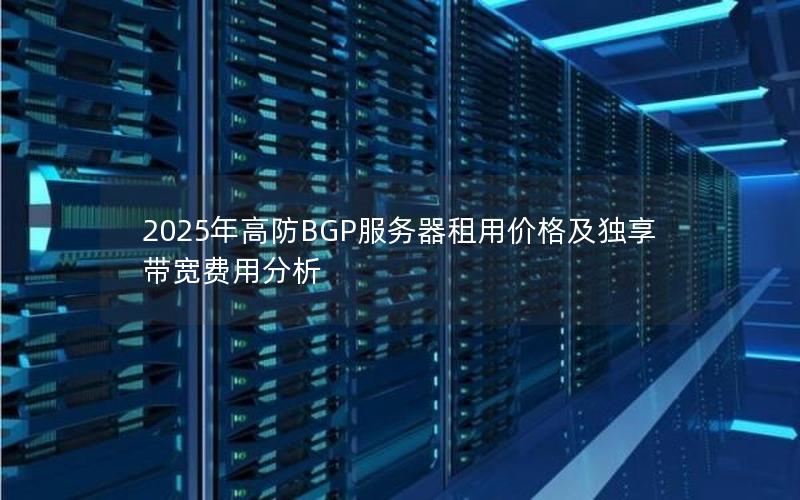 2025年高防BGP服务器租用价格及独享带宽费用分析