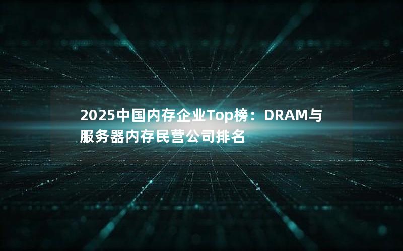 2025中国内存企业Top榜：DRAM与服务器内存民营公司排名