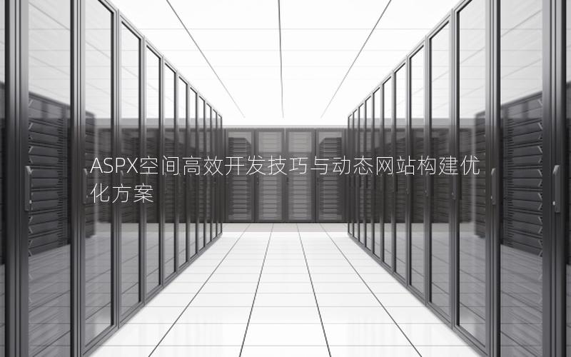 ASPX空间高效开发技巧与动态网站构建优化方案