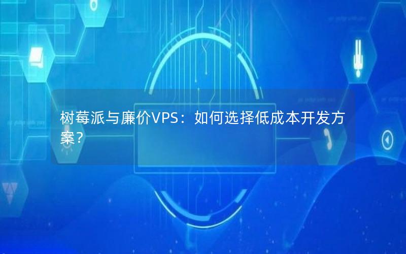 树莓派与廉价VPS：如何选择低成本开发方案？