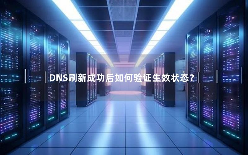 DNS刷新成功后如何验证生效状态？