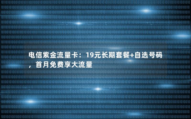 电信紫金流量卡：19元长期套餐+自选号码，首月免费享大流量