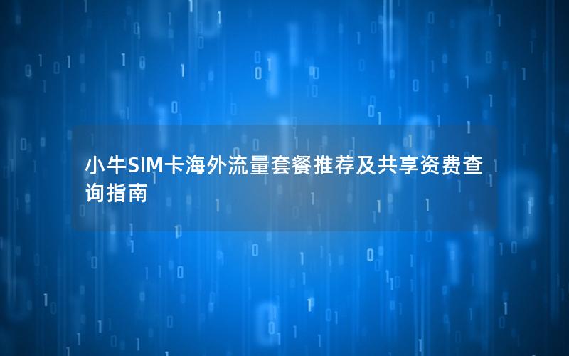 小牛SIM卡海外流量套餐推荐及共享资费查询指南