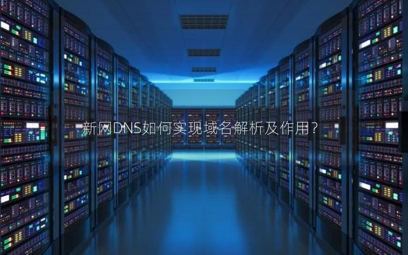 新网DNS如何实现域名解析及作用？