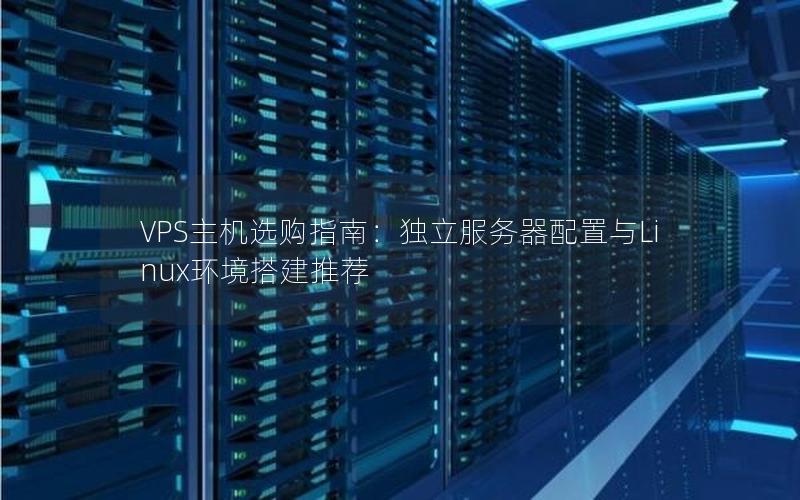 VPS主机选购指南：独立服务器配置与Linux环境搭建推荐