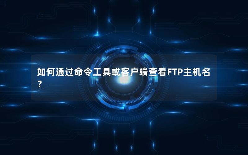 如何通过命令工具或客户端查看FTP主机名？