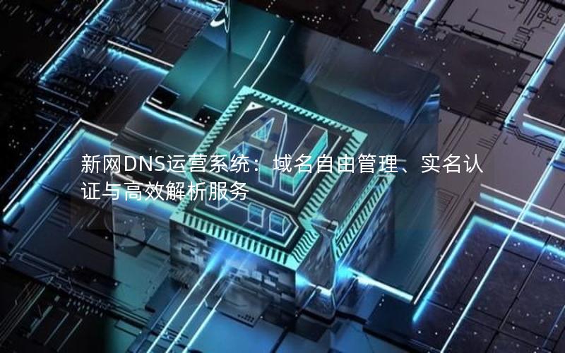 新网DNS运营系统：域名自由管理、实名认证与高效解析服务