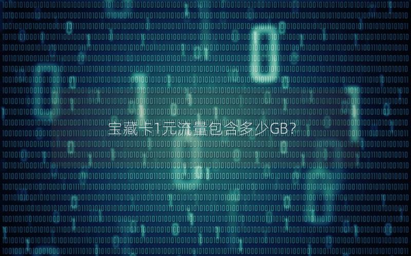 宝藏卡1元流量包含多少GB？