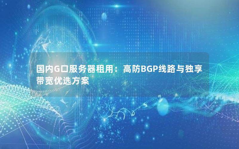 国内G口服务器租用：高防BGP线路与独享带宽优选方案