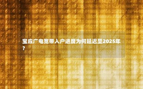 宝应广电宽带入户进度为何延迟至2025年？