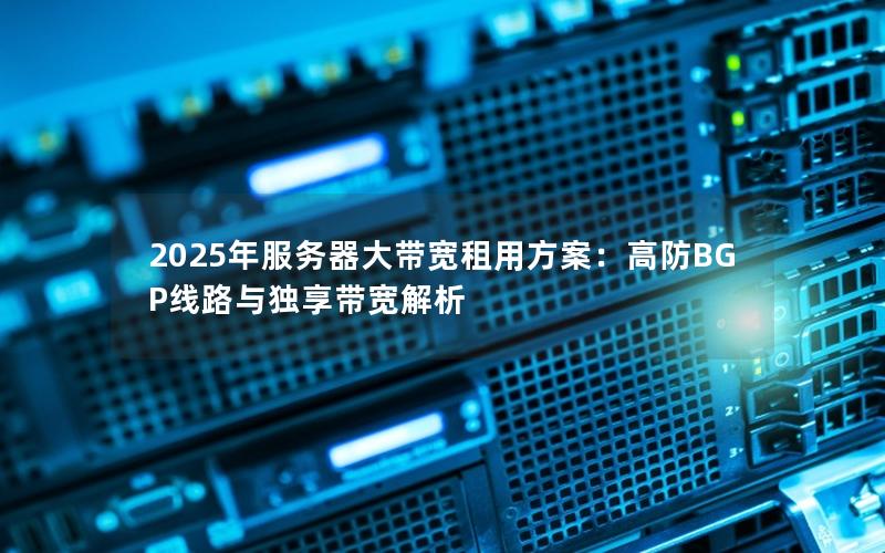 2025年服务器大带宽租用方案：高防BGP线路与独享带宽解析