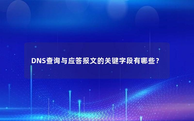 DNS查询与应答报文的关键字段有哪些？