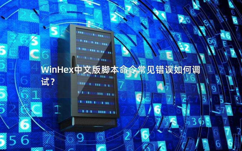 WinHex中文版脚本命令常见错误如何调试？