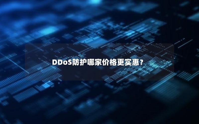 DDoS防护哪家价格更实惠？