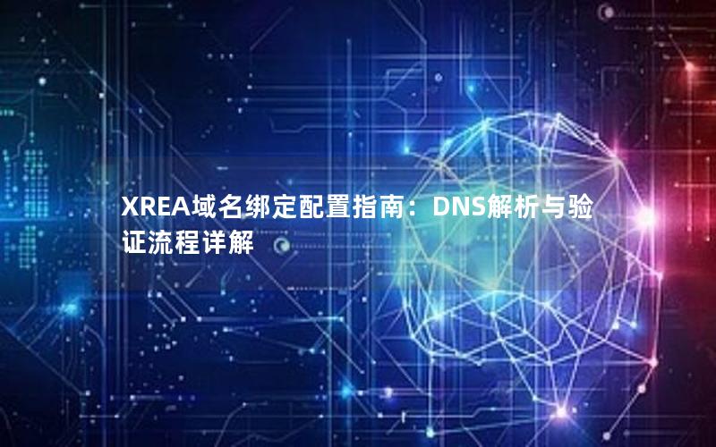 XREA域名绑定配置指南：DNS解析与验证流程详解