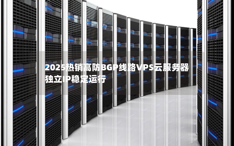 2025热销高防BGP线路VPS云服务器 独立IP稳定运行