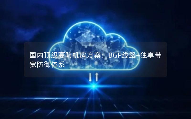 国内顶级高防机房方案：BGP线路+独享带宽防御体系