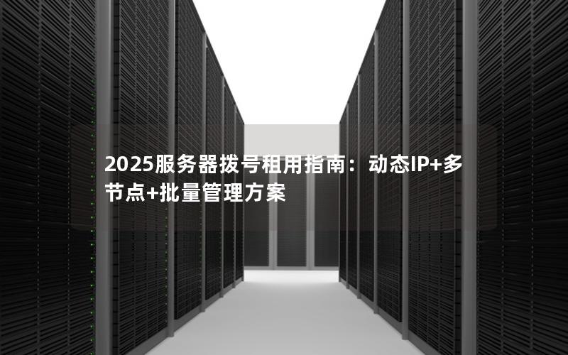 2025服务器拨号租用指南：动态IP+多节点+批量管理方案