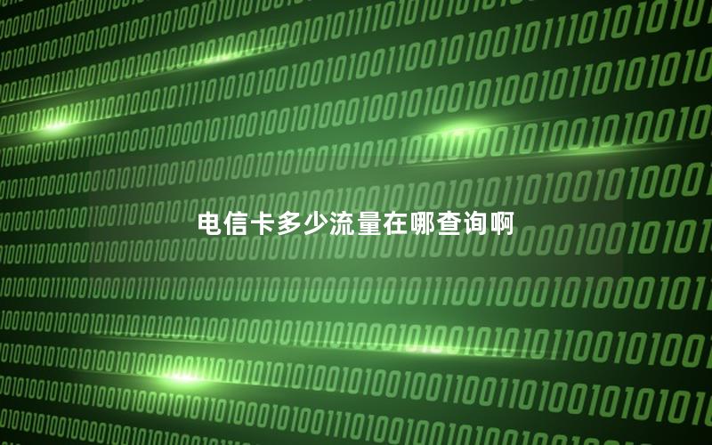 电信卡多少流量在哪查询啊