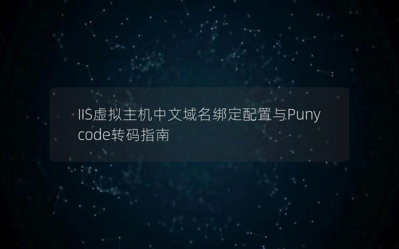 IIS虚拟主机中文域名绑定配置与Punycode转码指南