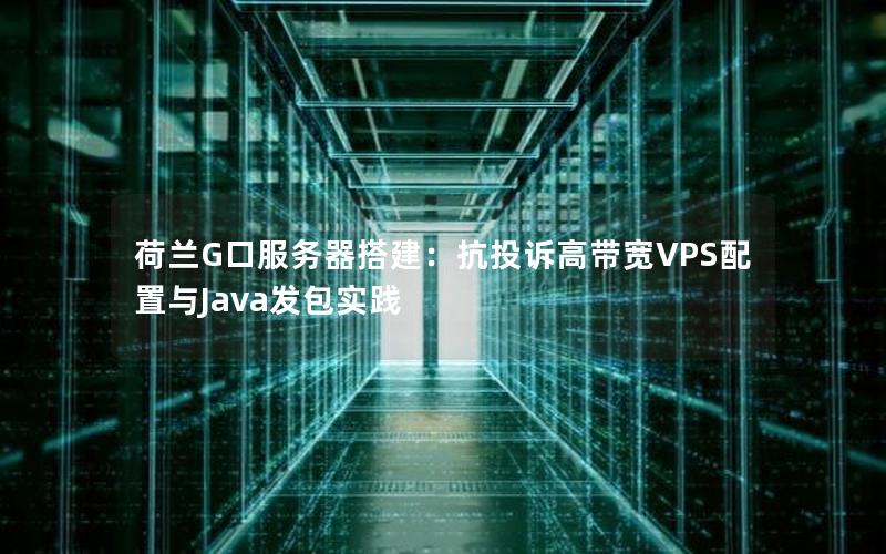 荷兰G口服务器搭建：抗投诉高带宽VPS配置与Java发包实践