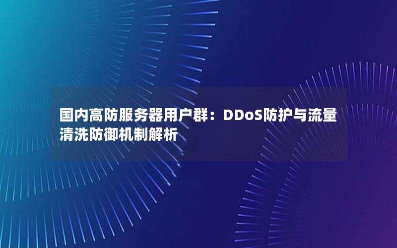 国内高防服务器用户群：DDoS防护与流量清洗防御机制解析