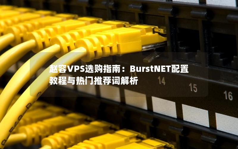 赵容VPS选购指南：BurstNET配置教程与热门推荐词解析