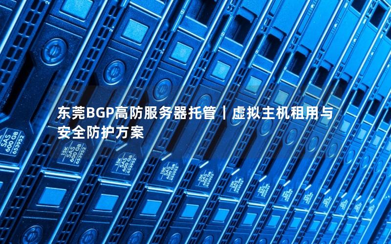 东莞BGP高防服务器托管｜虚拟主机租用与安全防护方案