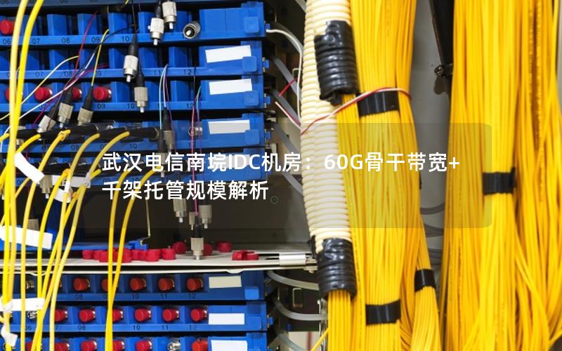 武汉电信南垸IDC机房：60G骨干带宽+千架托管规模解析