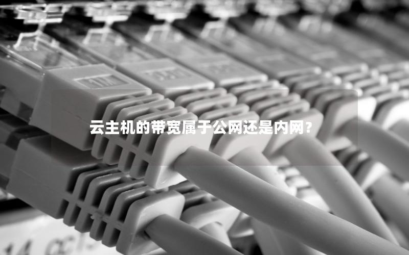 云主机的带宽属于公网还是内网？