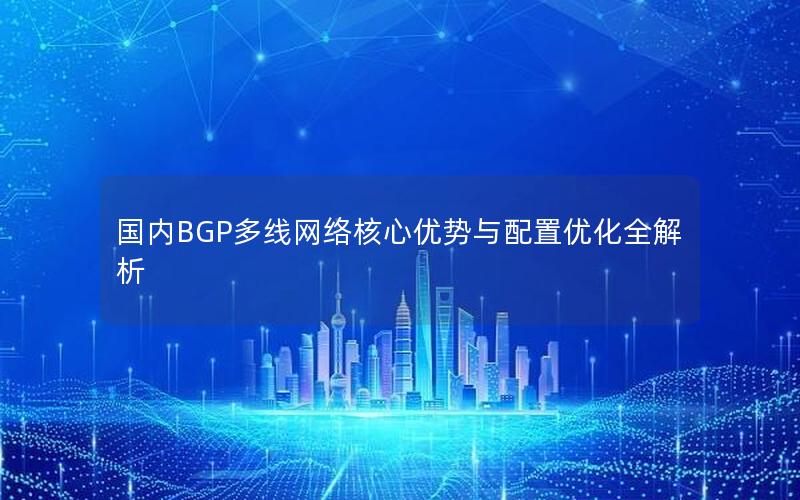 国内BGP多线网络核心优势与配置优化全解析