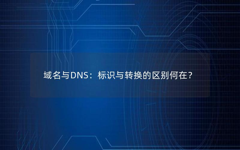 域名与DNS：标识与转换的区别何在？