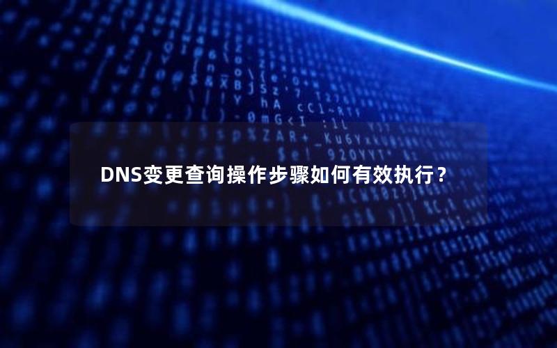 DNS变更查询操作步骤如何有效执行？