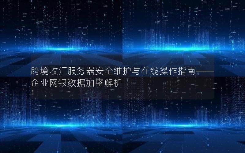 跨境收汇服务器安全维护与在线操作指南——企业网银数据加密解析