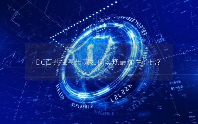 IDC百兆独享带宽如何实现最优性价比？