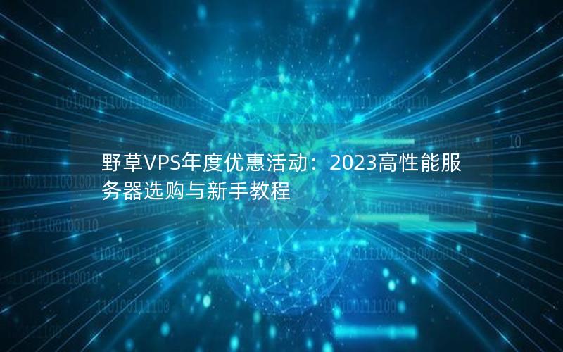 野草VPS年度优惠活动：2023高性能服务器选购与新手教程