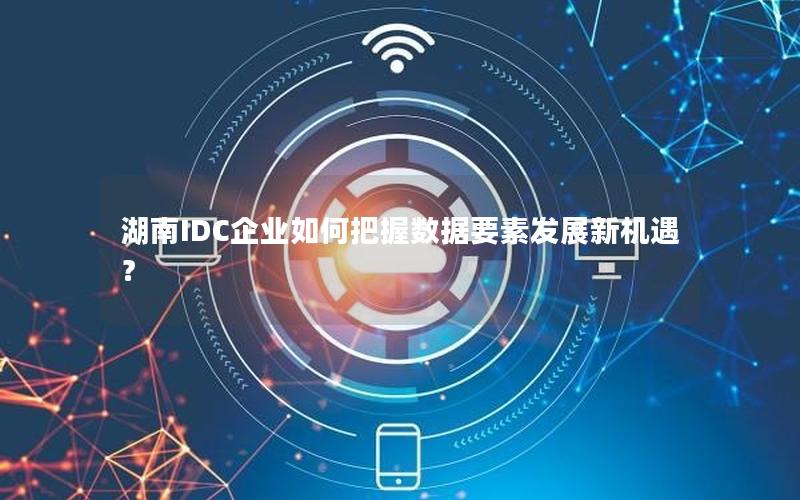 湖南IDC企业如何把握数据要素发展新机遇？