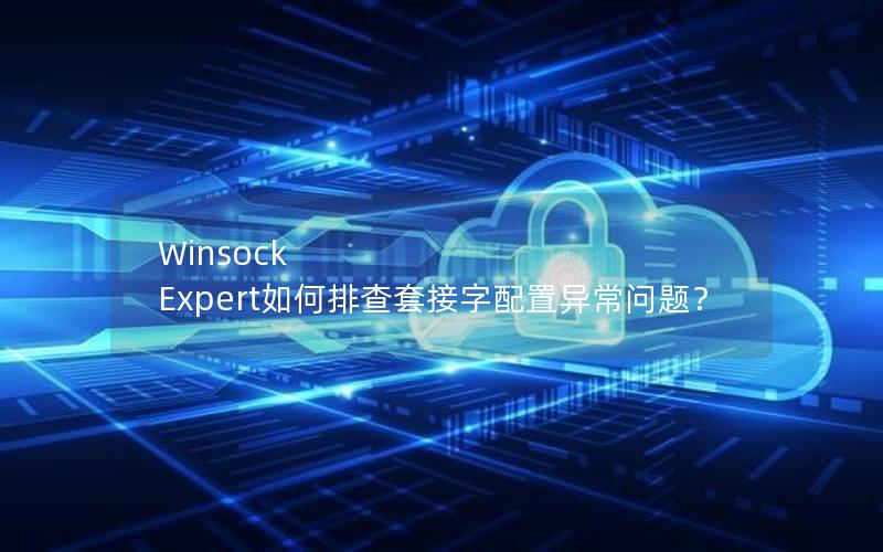 Winsock Expert如何排查套接字配置异常问题？