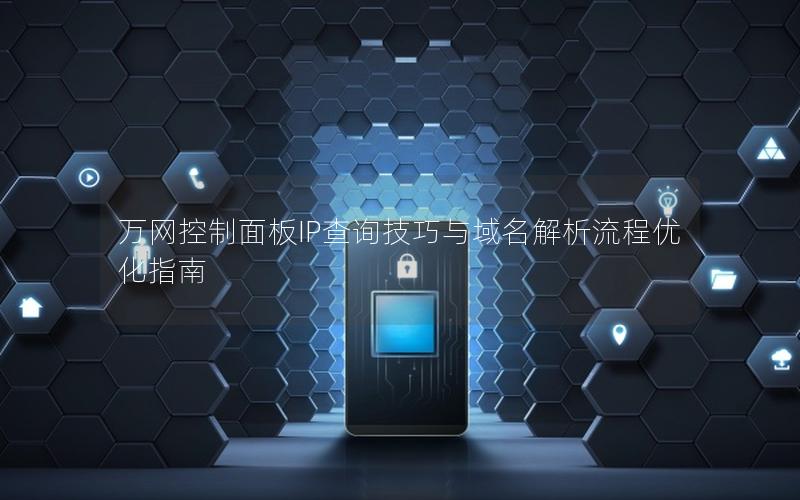 万网控制面板IP查询技巧与域名解析流程优化指南