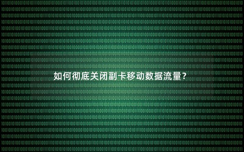 如何彻底关闭副卡移动数据流量？