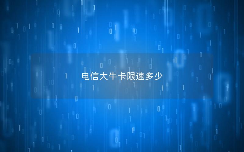 电信大牛卡限速多少