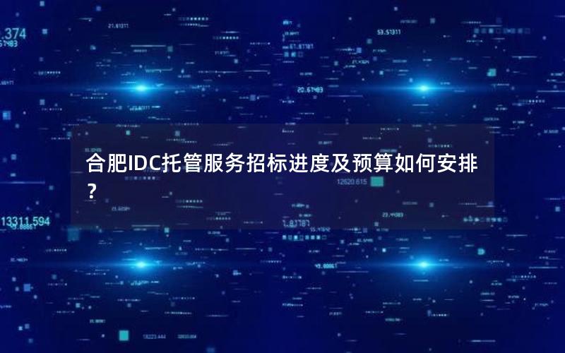 合肥IDC托管服务招标进度及预算如何安排？