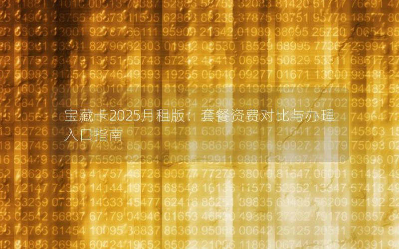 宝藏卡2025月租版：套餐资费对比与办理入口指南