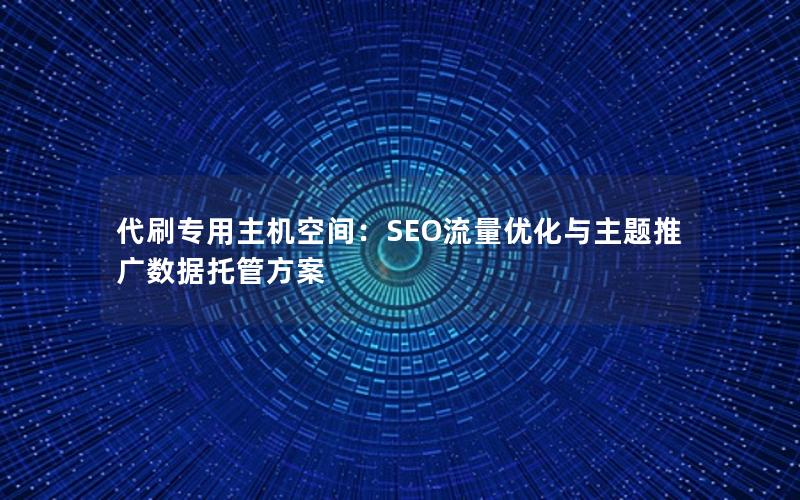 代刷专用主机空间：SEO流量优化与主题推广数据托管方案